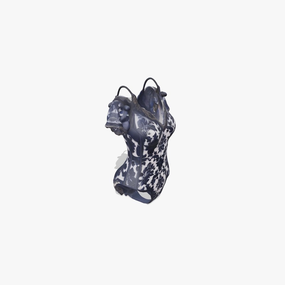 Elegant Lace Bodysuit Model Pack